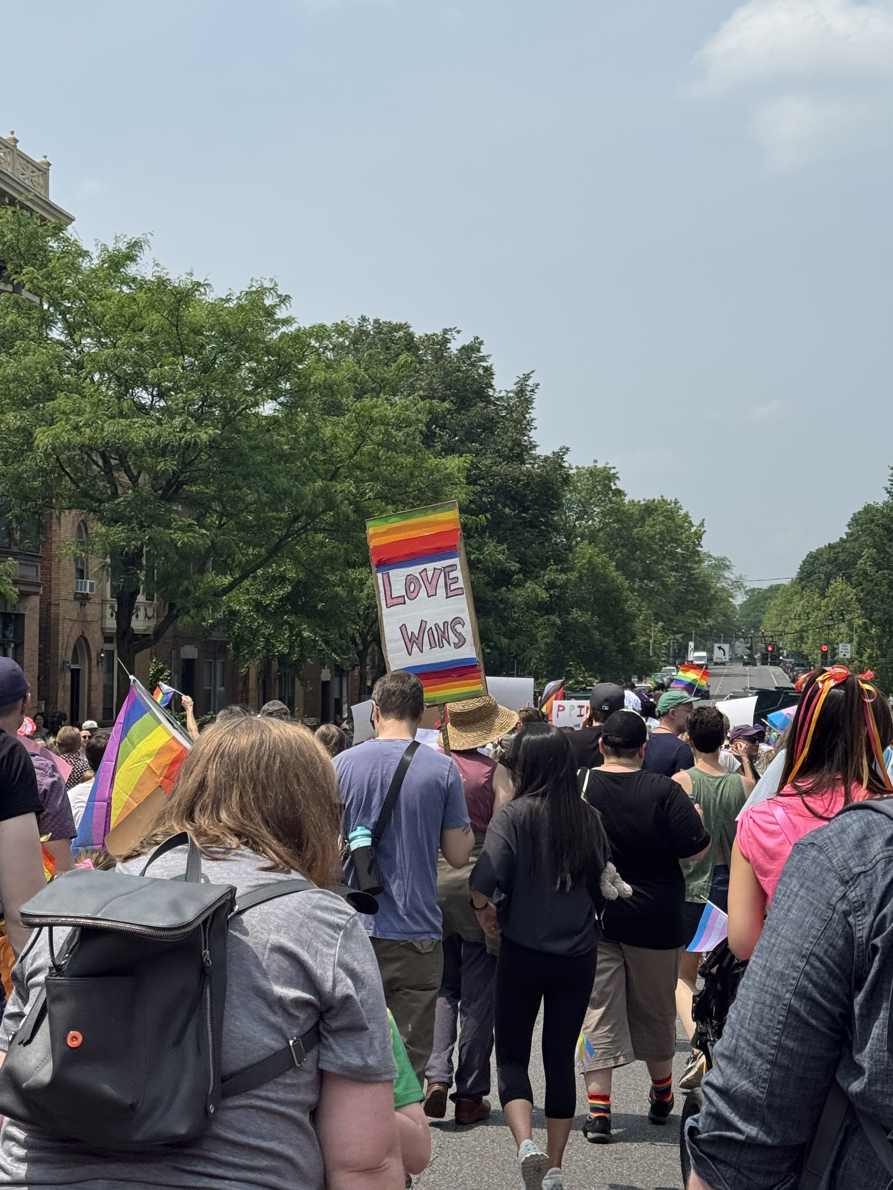 Love wins sign in Albany Pride parade